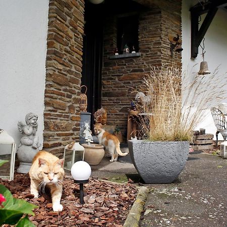B&B Au Coq En Pate Jalhay Eksteriør bilde