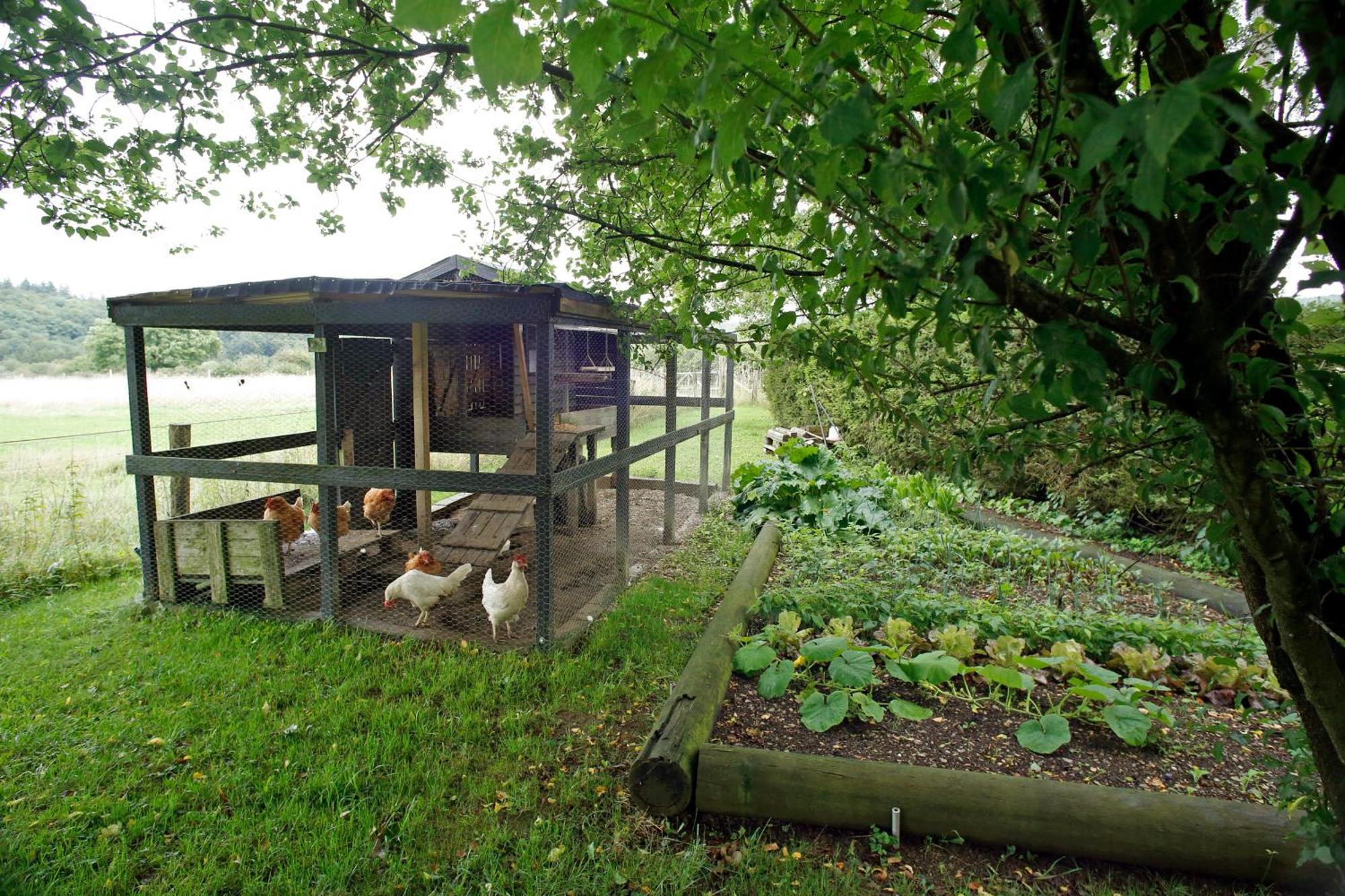B&B Au Coq En Pate Jalhay Eksteriør bilde