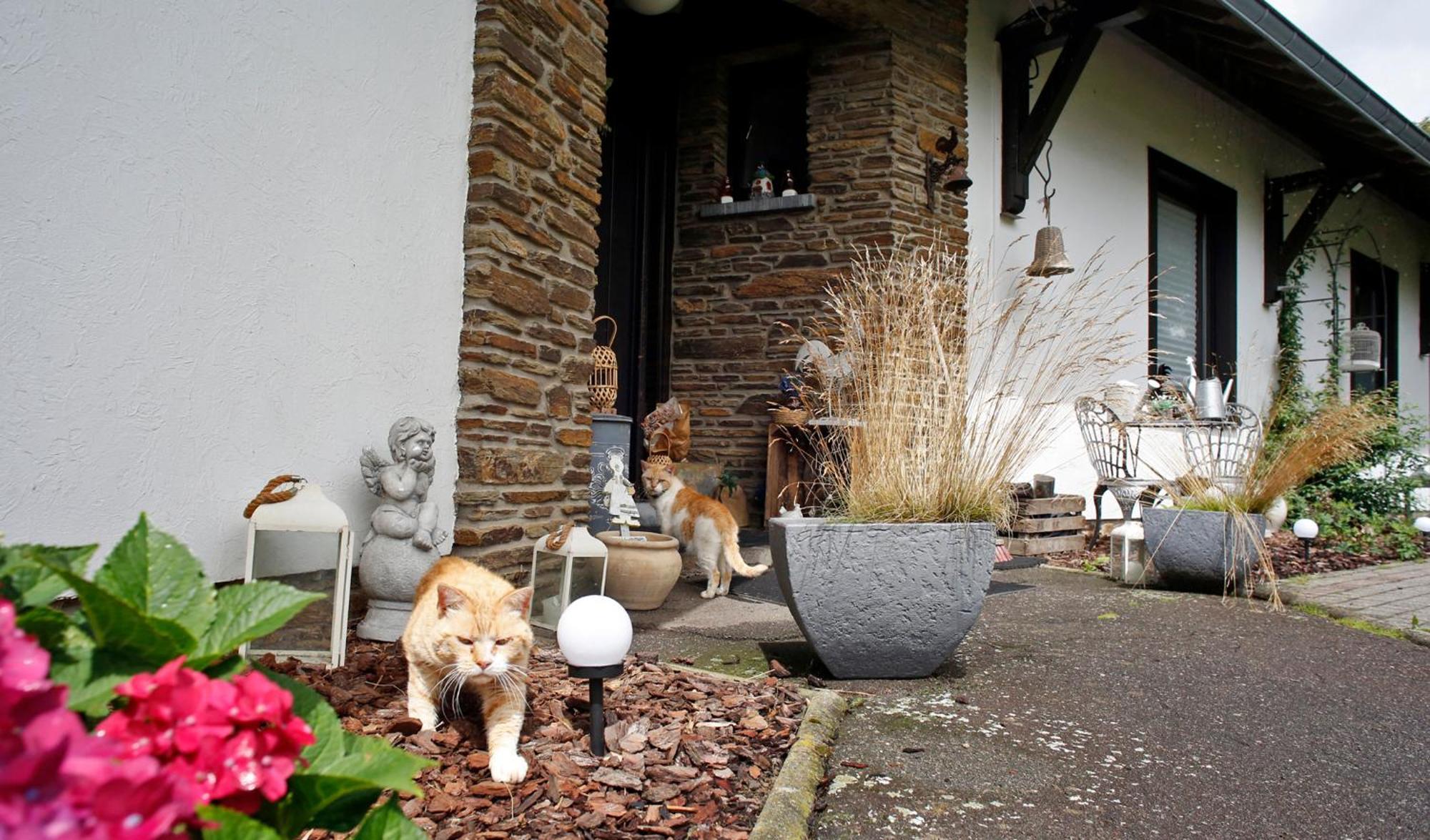 B&B Au Coq En Pate Jalhay Eksteriør bilde